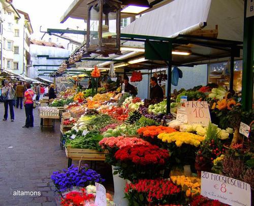 Appartamento Bolzano Centro Talvera Dış mekan fotoğraf